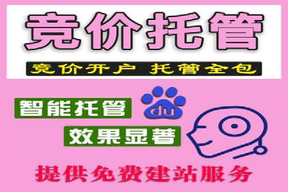 竞价托管策略调整：一则快速提升排名的案例